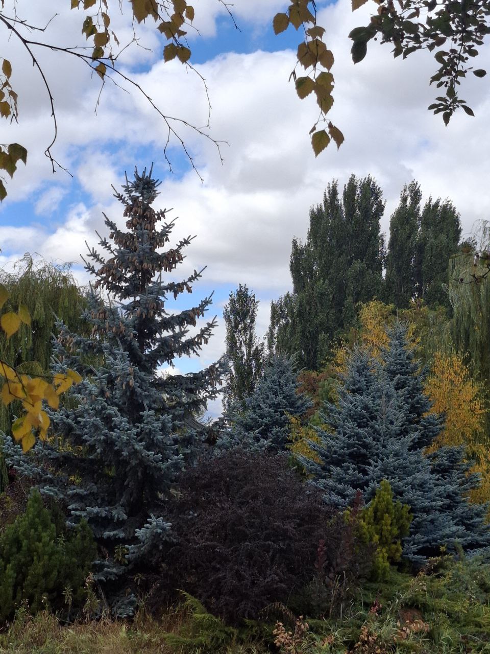 photo 2026 03 15 18 04 56